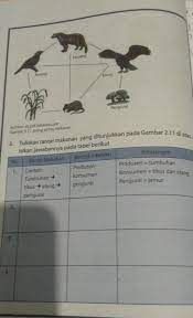Terjawab • terverifikasi oleh ahli. Paket Ipa Kelas 7 Semester 2 Halaman 38 Pliss Bantu Brainly Co Id