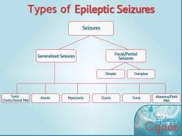 Pin By Joy On Epilepsy Awarenes Seizures Nursing Epilepsy Facts Epilepsy Awareness
