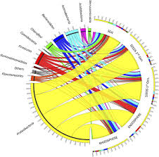 Novel 18 se 2018 pdf. Tomato Seeds Preferably Transmit Plant Beneficial Endophytes Phytobiomes Journal