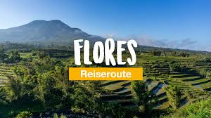 Ende — lazy capital of the island and departure point for ferries to west timor. Reiseroute Flores Alle Highlights Und Infos
