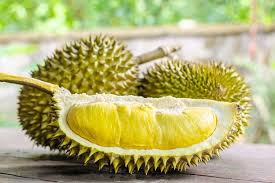 Menu apa ye yang boleh mengundang selera untuk minum petang. Diijuluki Raja Buah Berikut Berbagai Manfaat Durian Untuk Kesehatan Halaman All Kompas Com