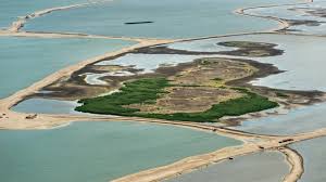 De marker wadden hebben ons aangenaam verrast, het was afwisselender dan we hadden gedacht, de rolklaver en het wilgenroosje. Marker Wadden Open Voor Publiek Hoe Ontstaat Een Nieuw Natuurgebied Natuurgebied Reizen Markering