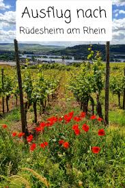 Rudesheim Am Rhein Ausflugstipp Ausflug Rudesheim Am Rhein Ausflugsziele