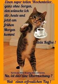 Wähle einfach das gewünschte bild aus der kategorie guten morgen mittwoch und klicke auf einen der darunter angezeigten codes. Schonen Mittwoch Guten Morgen Bilder Gbpicsbilder Com