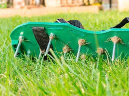 A complete guide with power broom instructions for cleaning and preventing weeds. 7 Lawn Care Tips Lovethegarden