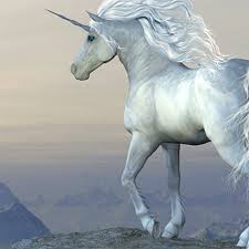What does it mean to be someone's unicorn? 10 Biggest Unicorn Companies In The World Thestreet