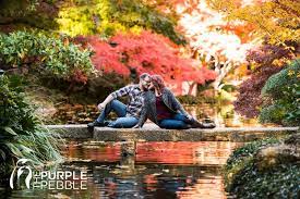 Japanese Garden Checkerboard Bridge Fall Engagement Ideas The Japanese Garden Fall Engagement Fort Worth Wedding