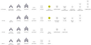 united states police ranks insignia