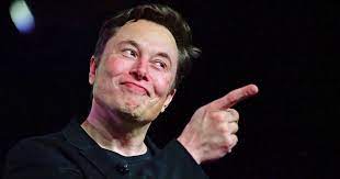 Elon Musk le dobla el brazo a Twitter y accede a sus datos más valiosos -  Informate Py Creemos en la libertad de expresión y en la capacidad de la  gente de