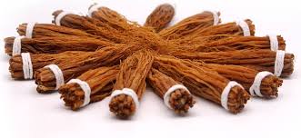 Image result for root-tail