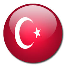 Türkei, flagge der türkei, türkische sprache, nationalflagge, flagge von dänemark, rot, logo, symbol png. Turkey Flag Icon Transparent Turkey Flag Png Images Vector Freeiconspng