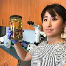 Heath Cook's Instagram, Twitter & Facebook