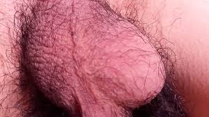 Balls Freehand POV - Sexy Twinks Hairy Nuts Move all Alone: French Gay Porn