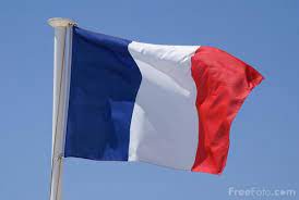 france the national flag of france is a tricolour featuring three vertical bands coloured royal blue hoist side white french flag french tricolor french