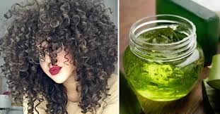 Apply aloe in the hair incredible results. Come Preparare Un Gel Di Aloe Vera Per Stilizzare E Dare Volume Ai Capelli Ricci Rimedio Naturale