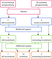 Flowchart Treatment Of Postoperative Incontinence