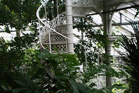 Bel Escalier En Colimacon Dans Les Serres Tropicales Du Jardin Botanique De Copenhague Jardin Botanique Botanique Jardins