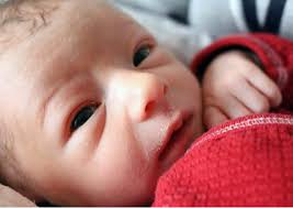 Ya, sensitivitas kulit bayi yang baru lahir memang sangat tinggi. Bayi Yg Baru Lahir Wajah Foto Gratis Di Pixabay