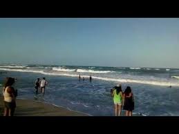There are no luxurious facilities at this beach but it is beautiful. Playa Poza Rica Cazones Veracruz Youtube