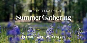 Yosemite Gateway Memorial Forest | Tending the Transitions Summer Gathering