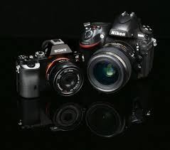 Nikon D800e Vs Sony Alpha 7r Camera Comparison Test