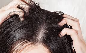 &atilde;&atilde;&atilde;&atilde;&iquest;&atilde;&atilde;&reg;&ccedil;&raquo;&aring;&aelig;&curren;&ccedil;&acute;&cent;&ccedil;&micro;&aelig;