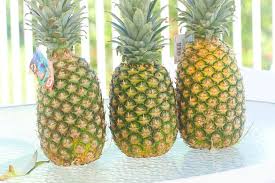 White spots on the leaves are usually fungus. How To Pick A Pineapple Immaculate Bites