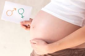 Das geschlecht deiner hühner zu kennen, kann dir helfen, die beste lebenssituation für sie zu schaffen. Geschlechtsbestimmung Ab Wann Ist Das Geschlecht Zu Sehen