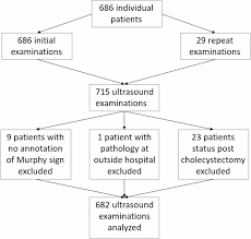 Image result for Murphy Sign