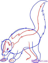 Skunk Proportions Skunk Drawing Guided Drawing Drawings