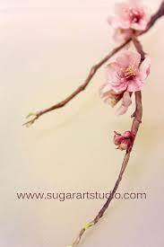 Gumpaste Cherry Blossom Sugar Flowers Cherry Blossom Flowers Valentines Flowers