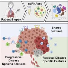Damage to the lungs can cause systemic failure throughout the human body. Therapy Induced Evolution Of Human Lung Cancer Revealed By Single Cell Rna Sequencing Sciencedirect