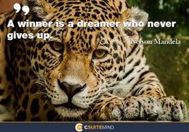 A Winner Is A Dreamer Who Never Gives Up Artinya Quote A Winner Is A Dreamer Who Never Gives Up The Dreamers Cat Quotes Animal Quotes