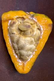 Image result for Landolphia incerta