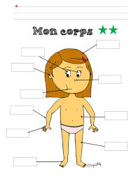 Corps | Parties corps maternelle, Schéma corporel, Parties du corps humain