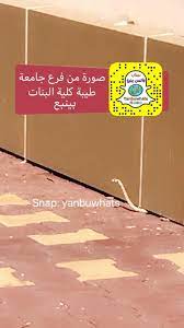 مدارس درر المدينة تعلن عن فتح التوظيف لشغل الوظائف التعليمية للنساء Ø«Ø¹Ø¨Ø§Ù† ÙÙŠ ÙØ±Ø¹ Ø¬Ø§Ù…Ø¹Ø© Ø·ÙŠØ¨Ø© Ù„Ù„Ø¨Ù†Ø§Øª Ø¨ÙŠÙ†Ø¨Ø¹ Ø§Ù„Ù…Ø¯ÙŠÙ†Ø©