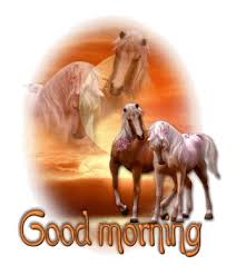 Good Morning Picture Wm1616 Gif 334 376 Happy Birthday Horse Happy Birthday Greetings Happy Birthday Emoji