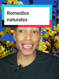 Remedios naturales del palo de Campeche