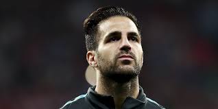 Cesc fabregas hätte marco reus gerne beim fc arsenal gesehen. Cesc Fabregas Warf Sir Alex Ferguson Eine Pizza Ins Gesicht Express De