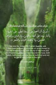 Pin By Tharwat Atef On Hadeath Islamic Quotes Hadith Of The Day Ahadith