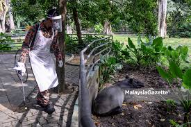 This page is about the meanings of the acronym/abbreviation/shorthand cemar in the business field in general and in the management cemar mostly used in an acronym management in category business that means center for ecosystem management and restoration. Operasi Nyah Cemar Zoo Negara Dimulakan