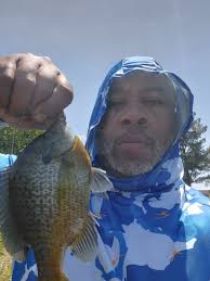 Who vandalized the Garland pond?