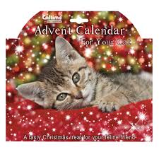 10 Advent Calendars For Cat Lovers Cat Advent Calendar Cats Christmas Advent Calendar