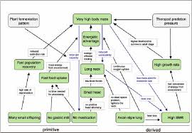 Flow Chart Of The Evolutionary Cascade Leading To Sauropod