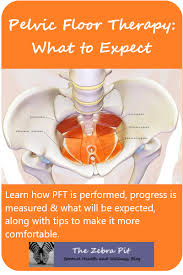 Pelvic Floor Therapy What To Expect Pelvic Floor Therapy Pelvic Floor Pelvic Floor Dysfunction
