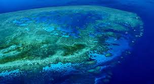 The great barrier reef is located in the coral sea and stretches for 2300 kilometres up the east coast of australia starting just north of bundaberg in the south to the tip of cape york in the north. Smart Travel Travel Guide Application