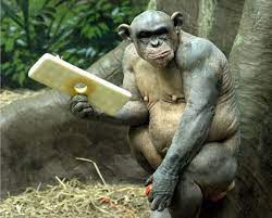 Зеленский - дипломатам: "Должен быть экономический результат вашей работы" - Цензор.НЕТ 5988