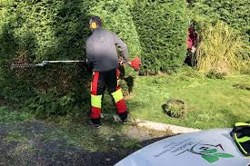 Find the best hedge cutting platforms for sale with our reviews and advice on which products are suitable for different applications. Hedge Cutting And Maintenance