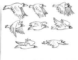 It's important to see that there are 'flying' stages, in which no feet are on the… how to think when you draw bird wings tutorial! Posts About Drawing On Animation Concepts Animated Drawings Animation Sketches Animation Design
