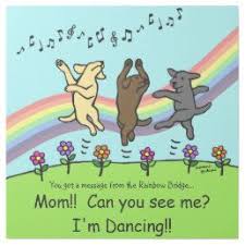  Dancing Labradors At The Rainbow Bridge Poster Zazzle Com In 2021 Rainbow Bridge Pet Loss Grief I Love Dogs